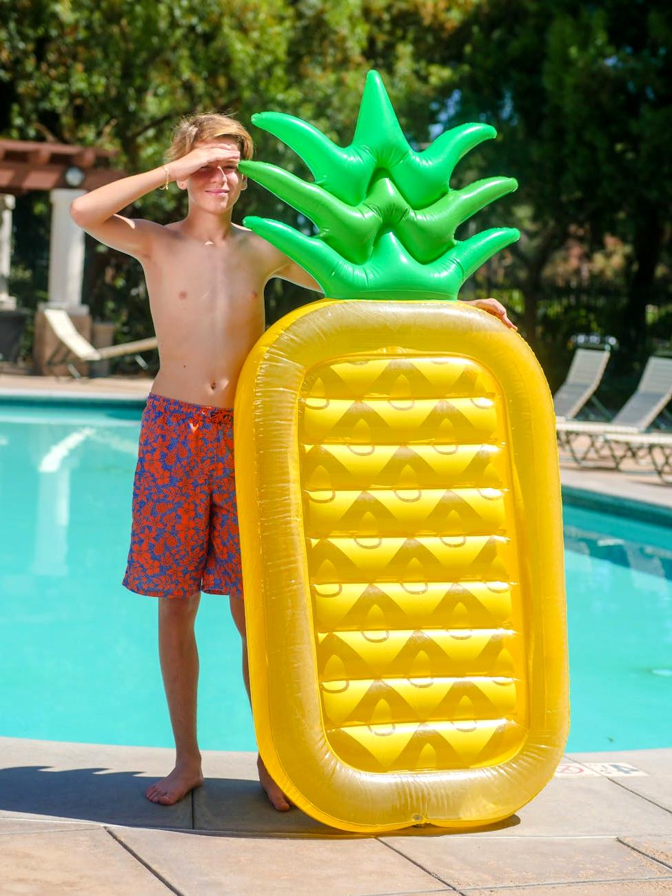 Green to clean pool transformation